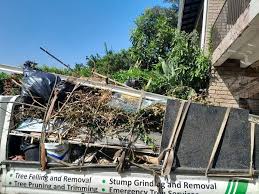 Best Hoarding Cleanup  in Bull Run Mountain Estates, VA